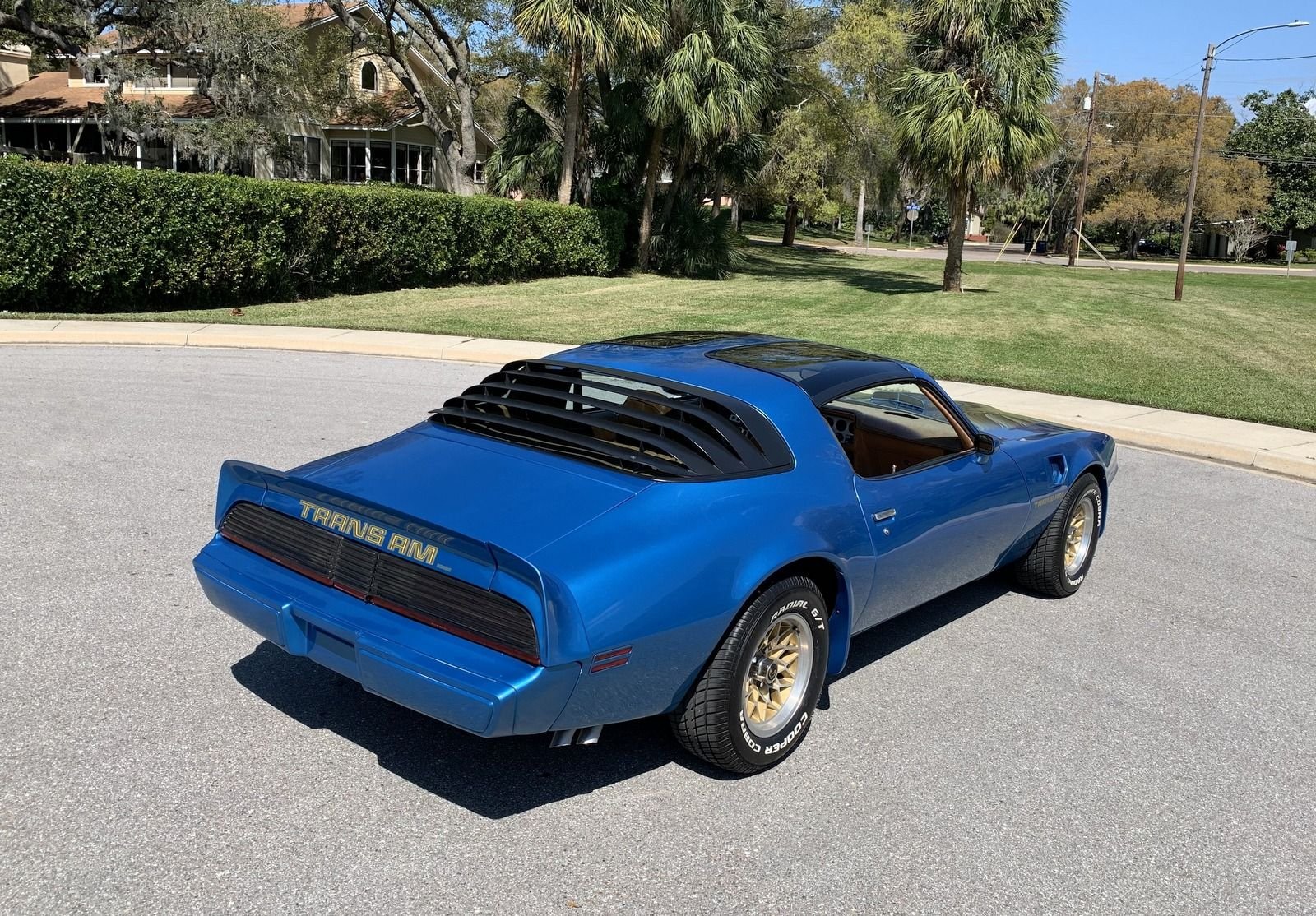1979 Pontiac Trans Am | PJ's Auto World Classic Cars for Sale