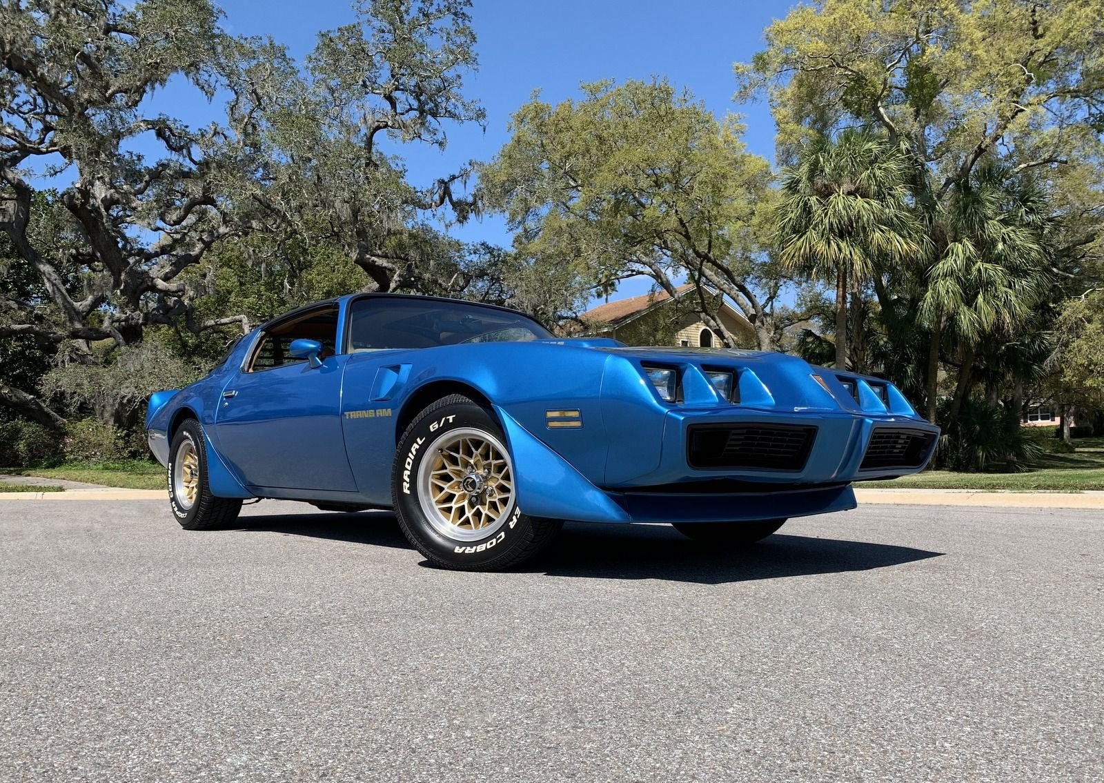1979 Pontiac Trans Am | PJ's Auto World Classic Cars for Sale