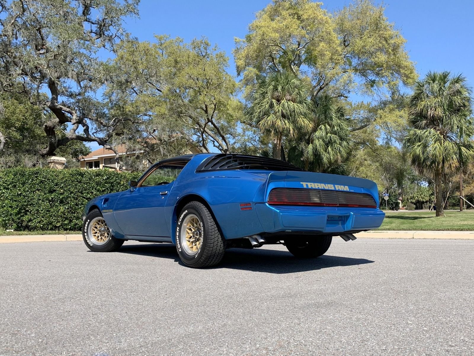 1979 Pontiac Trans Am | PJ's Auto World Classic Cars for Sale