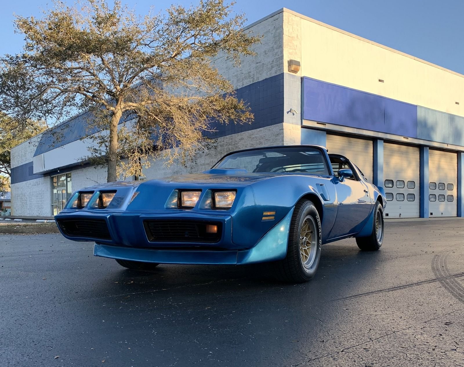 1979 Pontiac Trans Am | PJ's Auto World Classic Cars for Sale