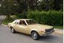 For Sale 1973 AMC Hornet