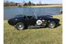 1966 Shelby Cobra