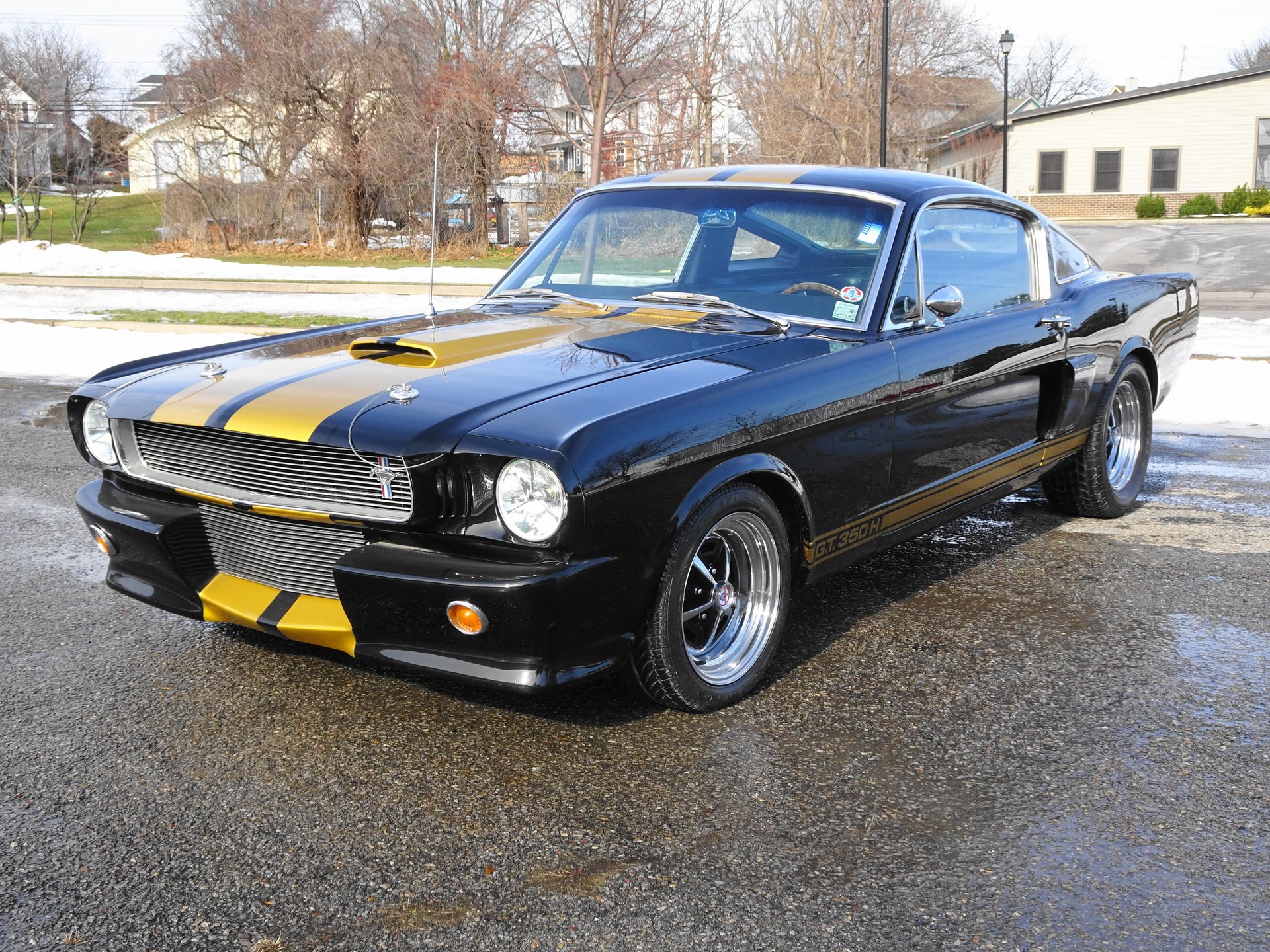 Shelby 350 Hertz