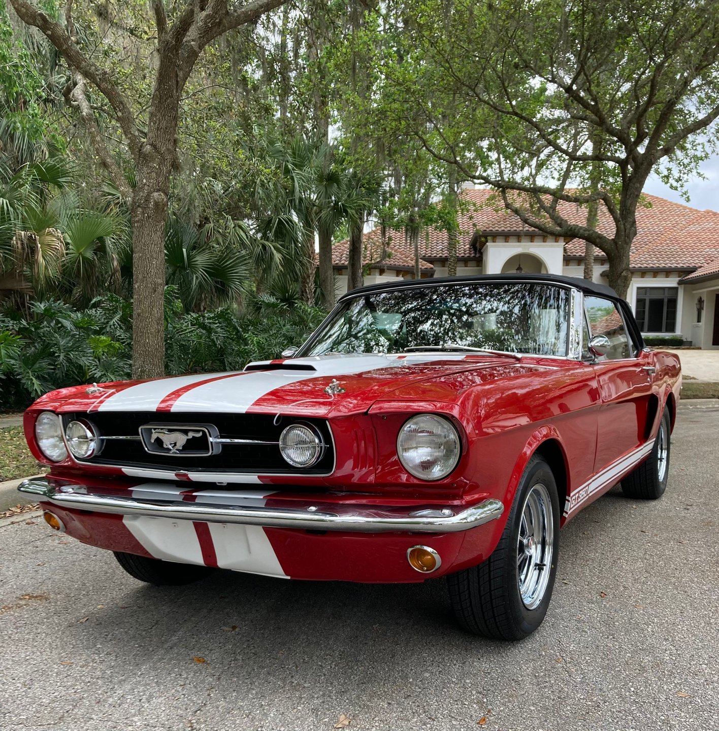 1966 ford shelby gt 350 convertible tribute