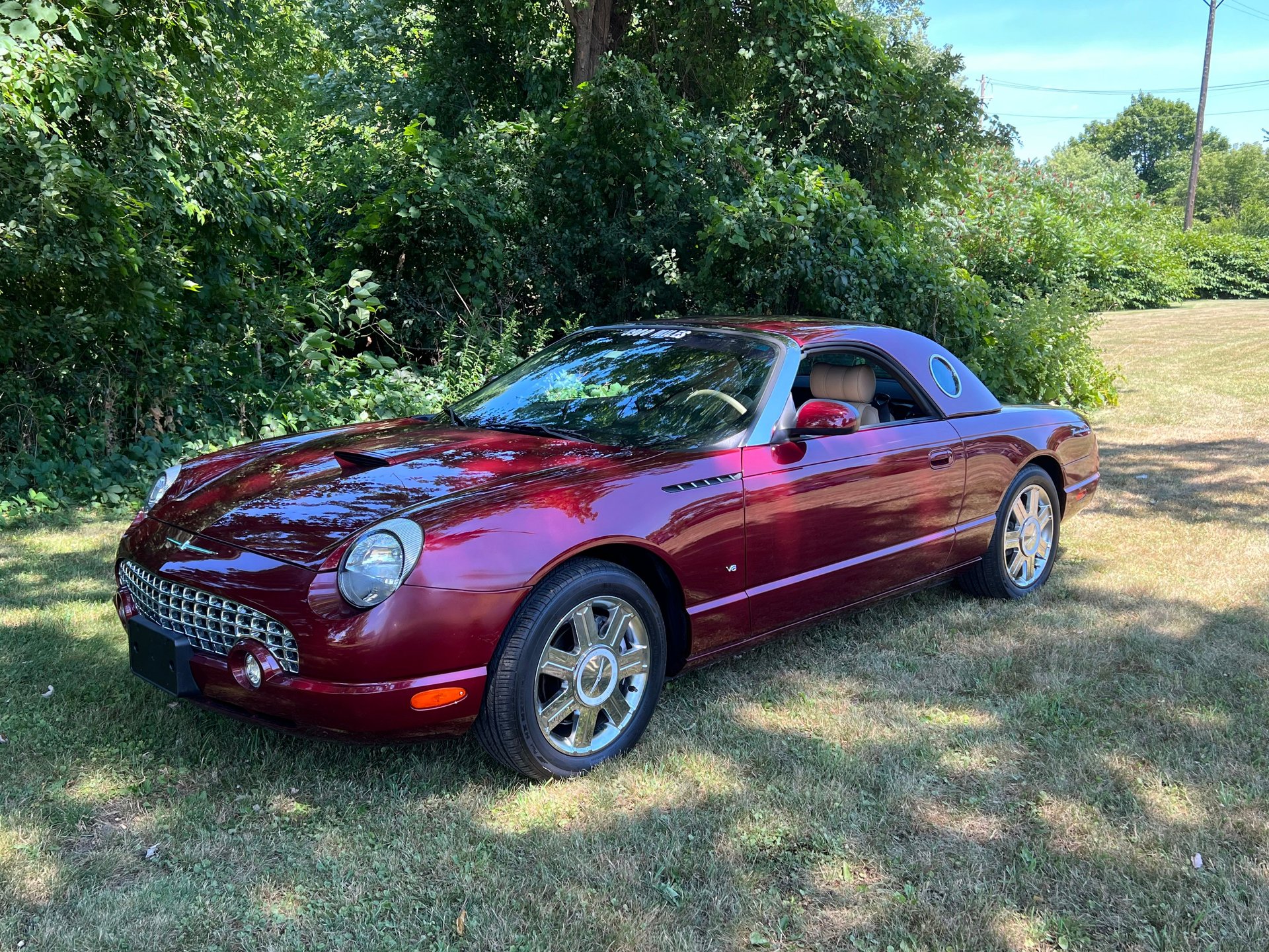 2004 Thunderbird Farbe Merlot