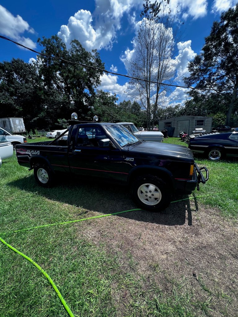 1989 Chevrolet S-10 Baja