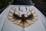 1976 Pontiac Trans Am