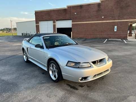 2001 ford mustang cobra convertible