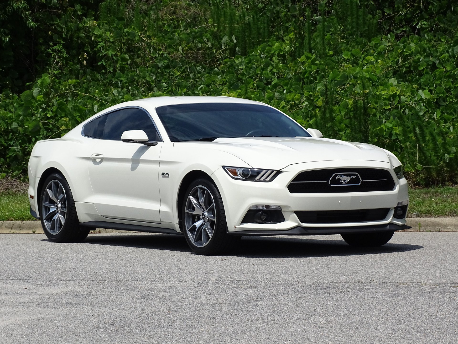 Auction 2015 Ford Mustang 50th Anniversary