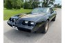 1981 Pontiac Trans AM - Turbo