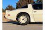 1980 Pontiac Trans AM - Turbo