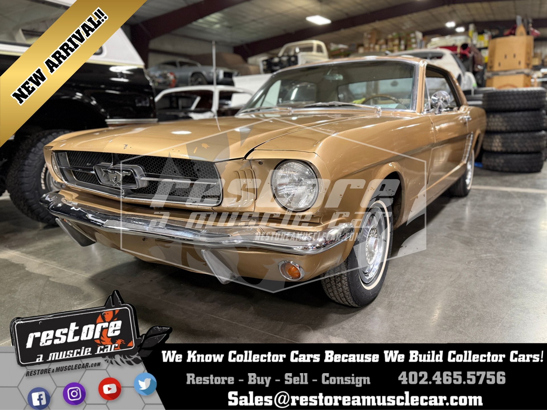 1965 ford mustang