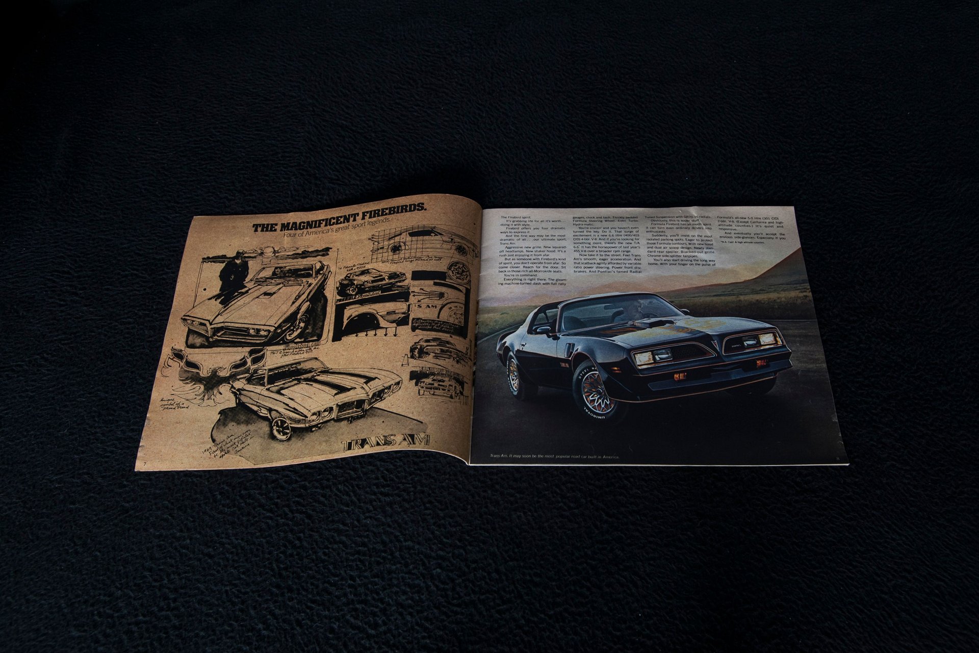For Sale 1977 Pontiac Firebird