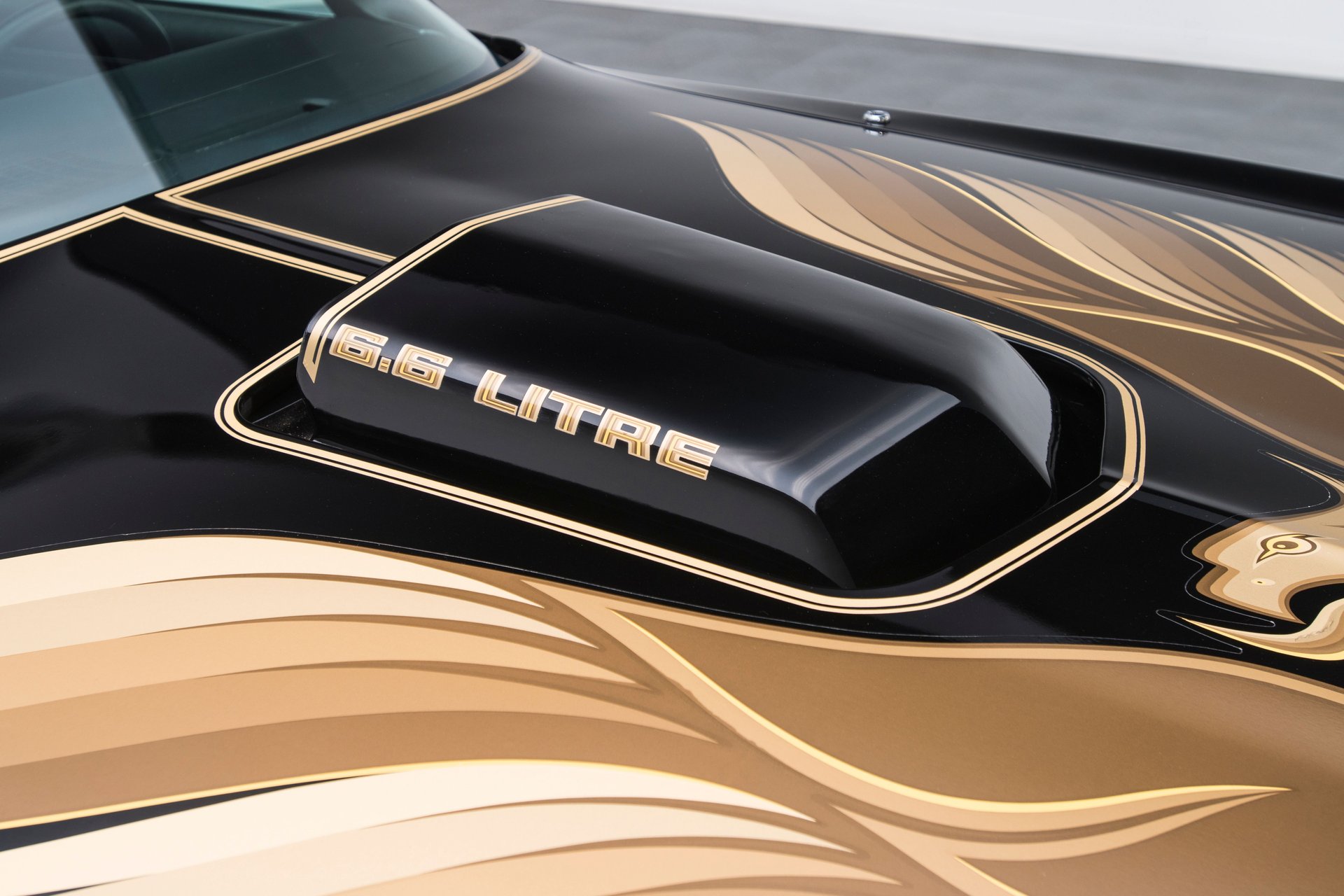 For Sale 1979 Pontiac Firebird