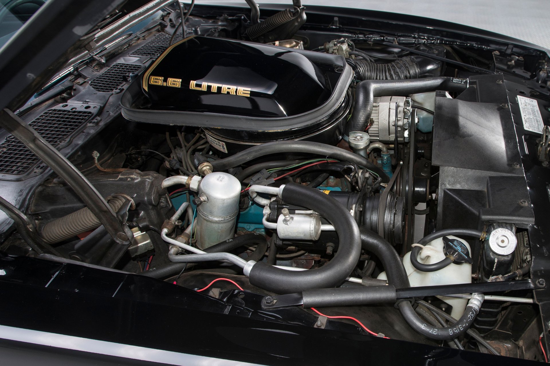 For Sale 1979 Pontiac Firebird