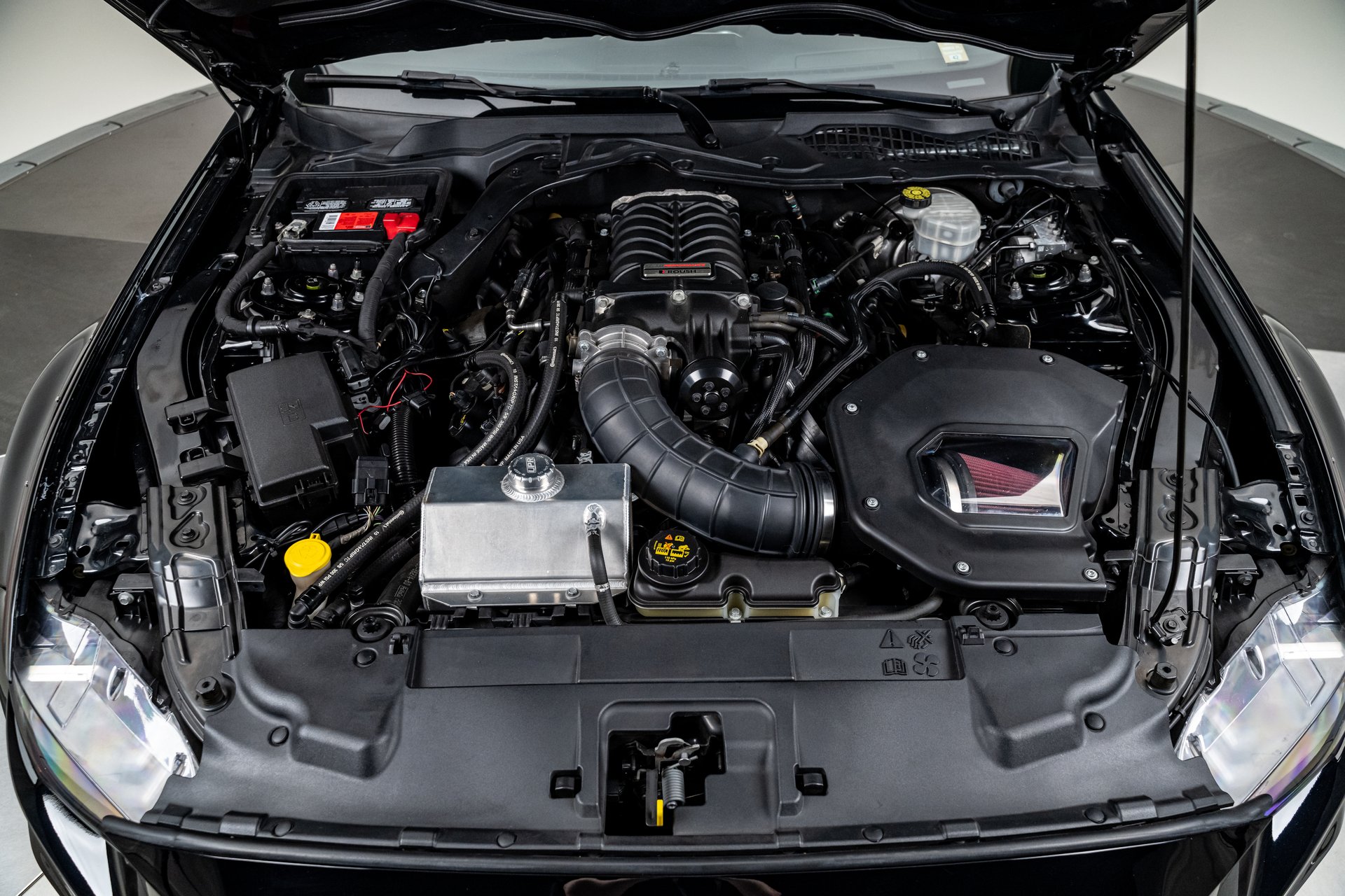 For Sale 2019 Ford Mustang