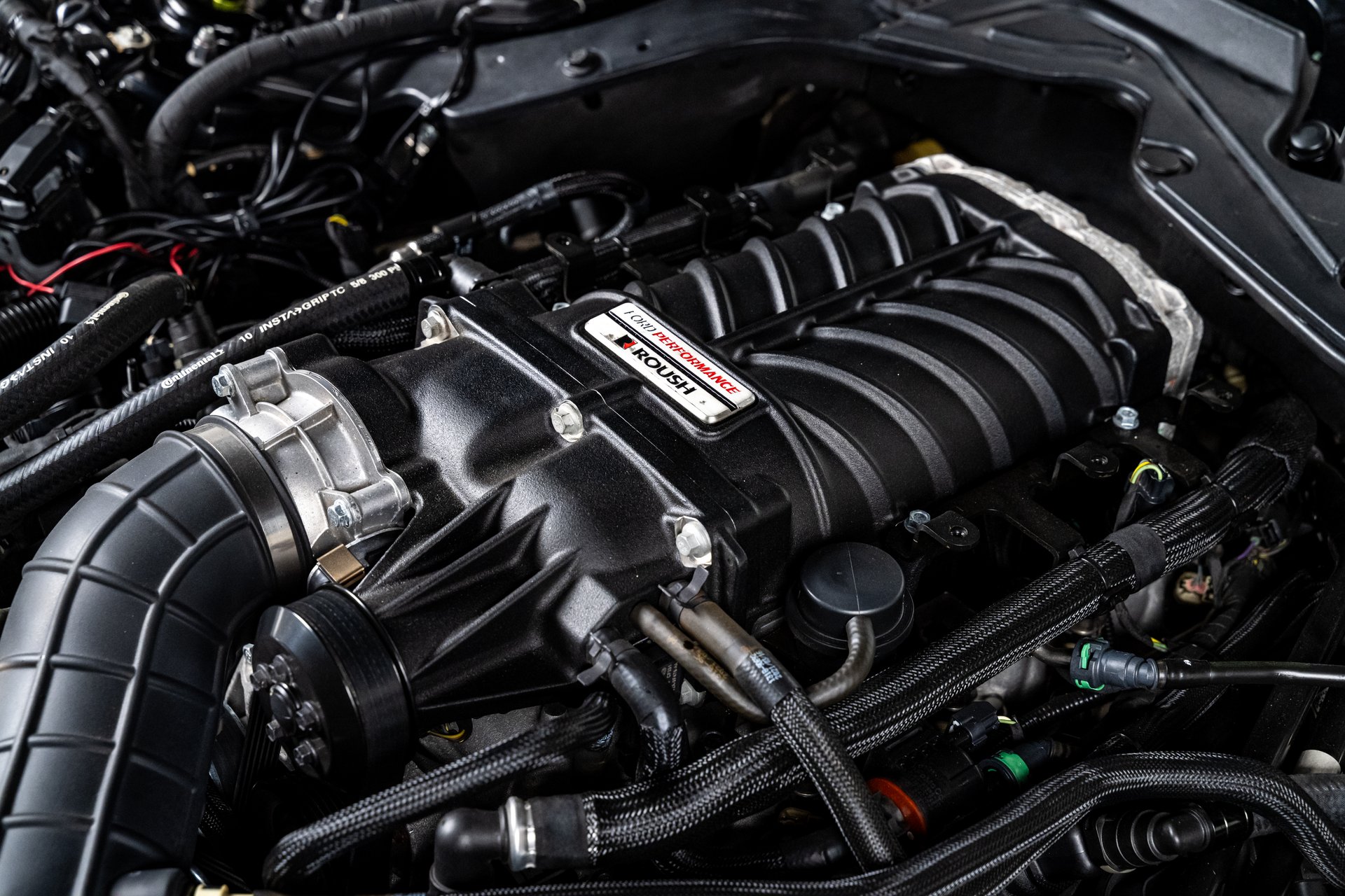 For Sale 2019 Ford Mustang