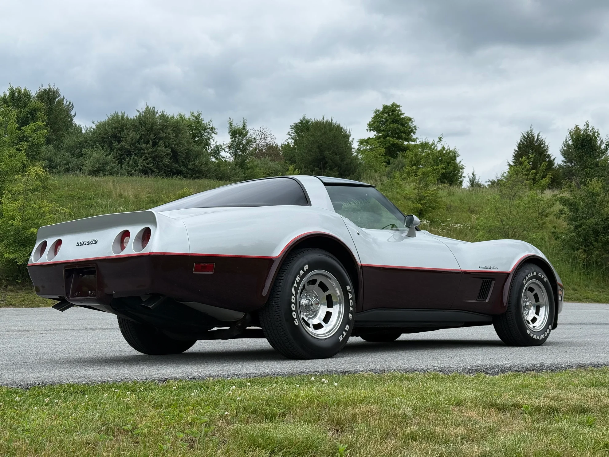 1982 Chevrolet Corvette - Photo 6