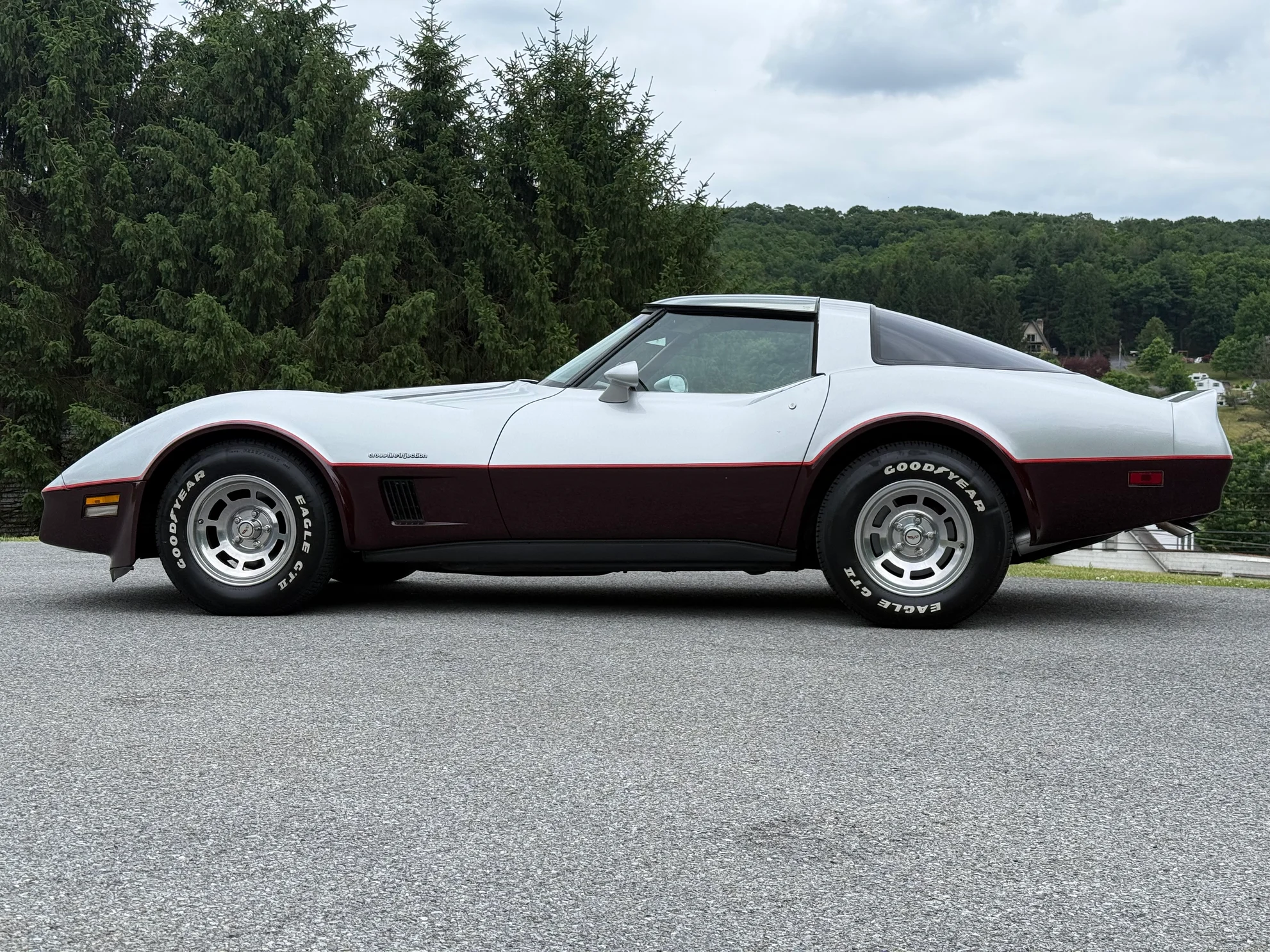 1982 Chevrolet Corvette - Photo 9