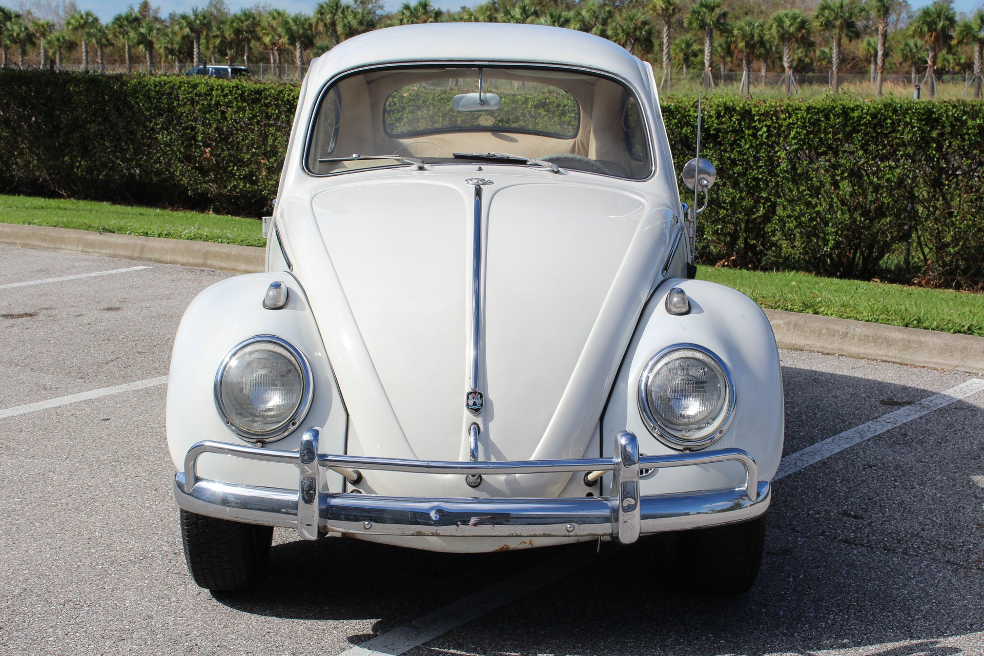 For Sale 1961 Volkswagon Beetle