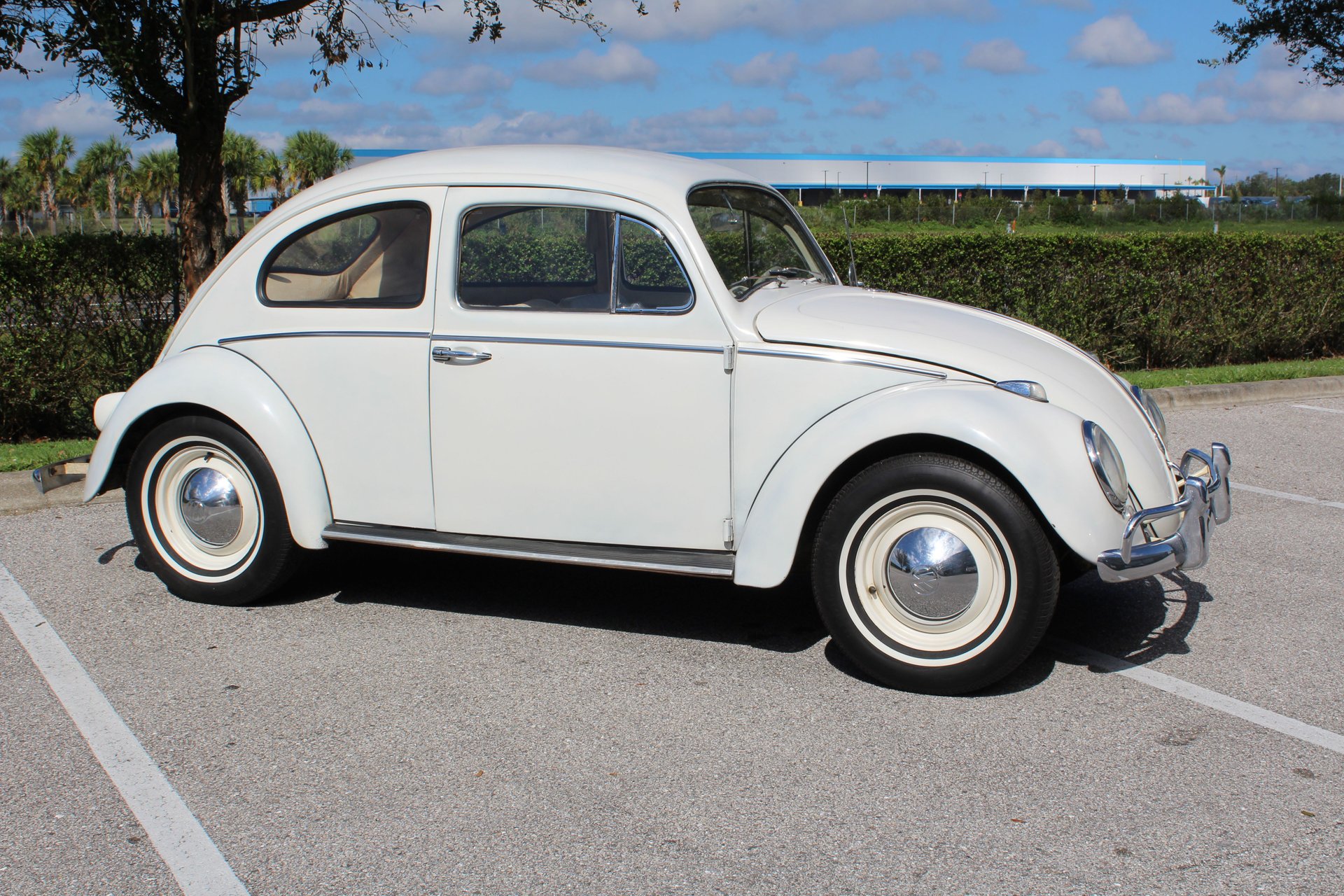 1961 volkswagon beetle
