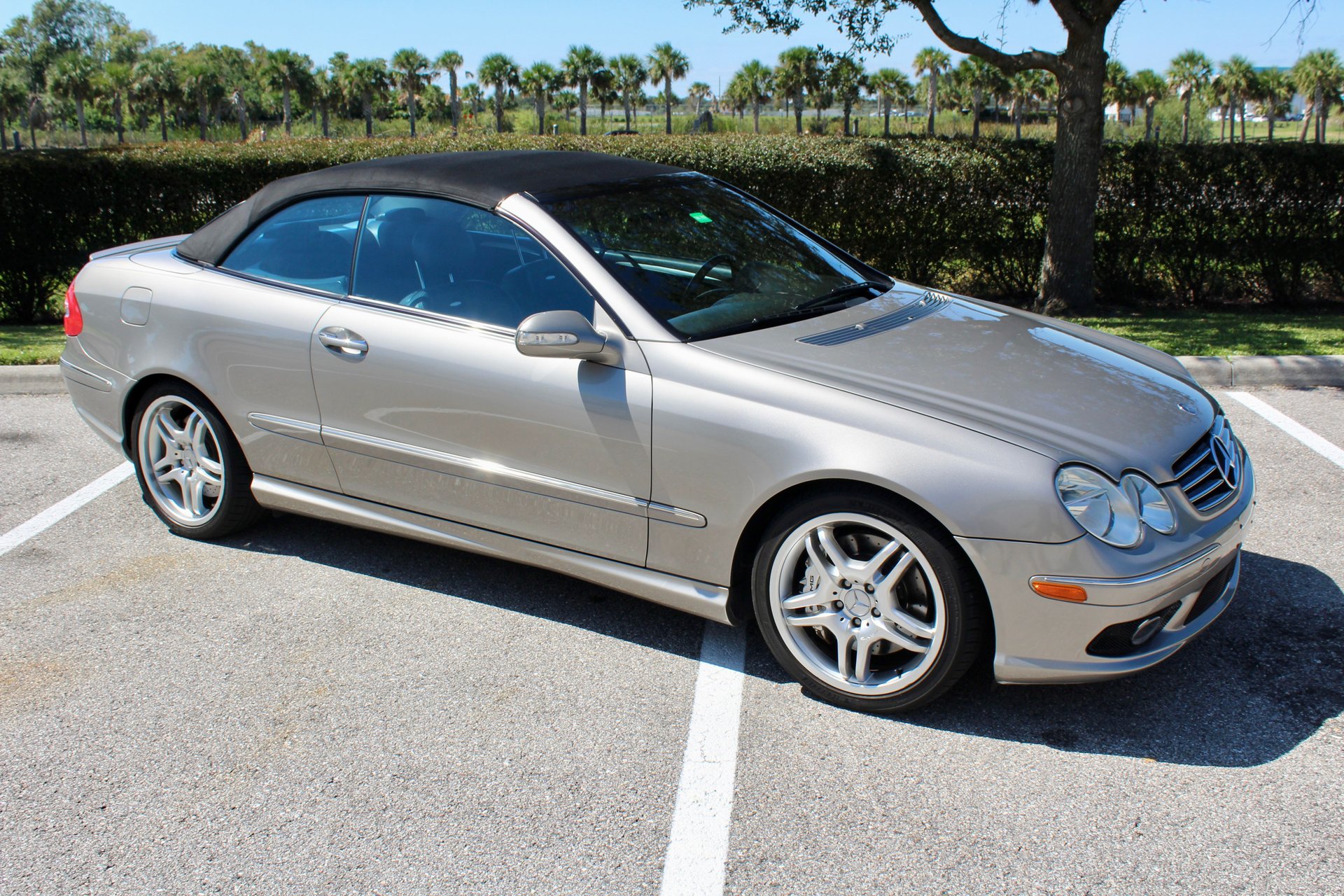 For Sale 2005 Mercedes CLK 55 AMG