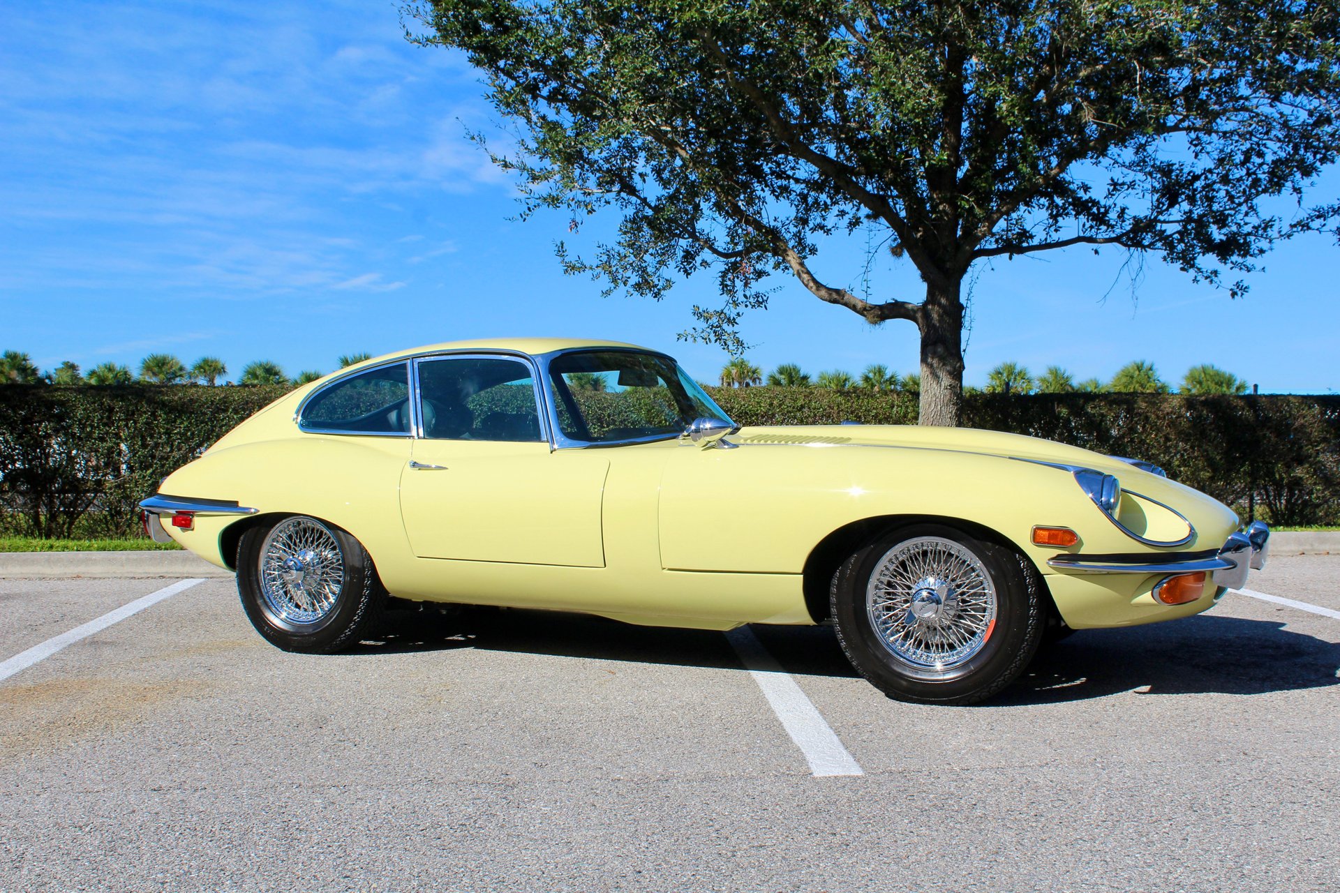 For Sale 1970 Jaguar E-Type XKE Series II