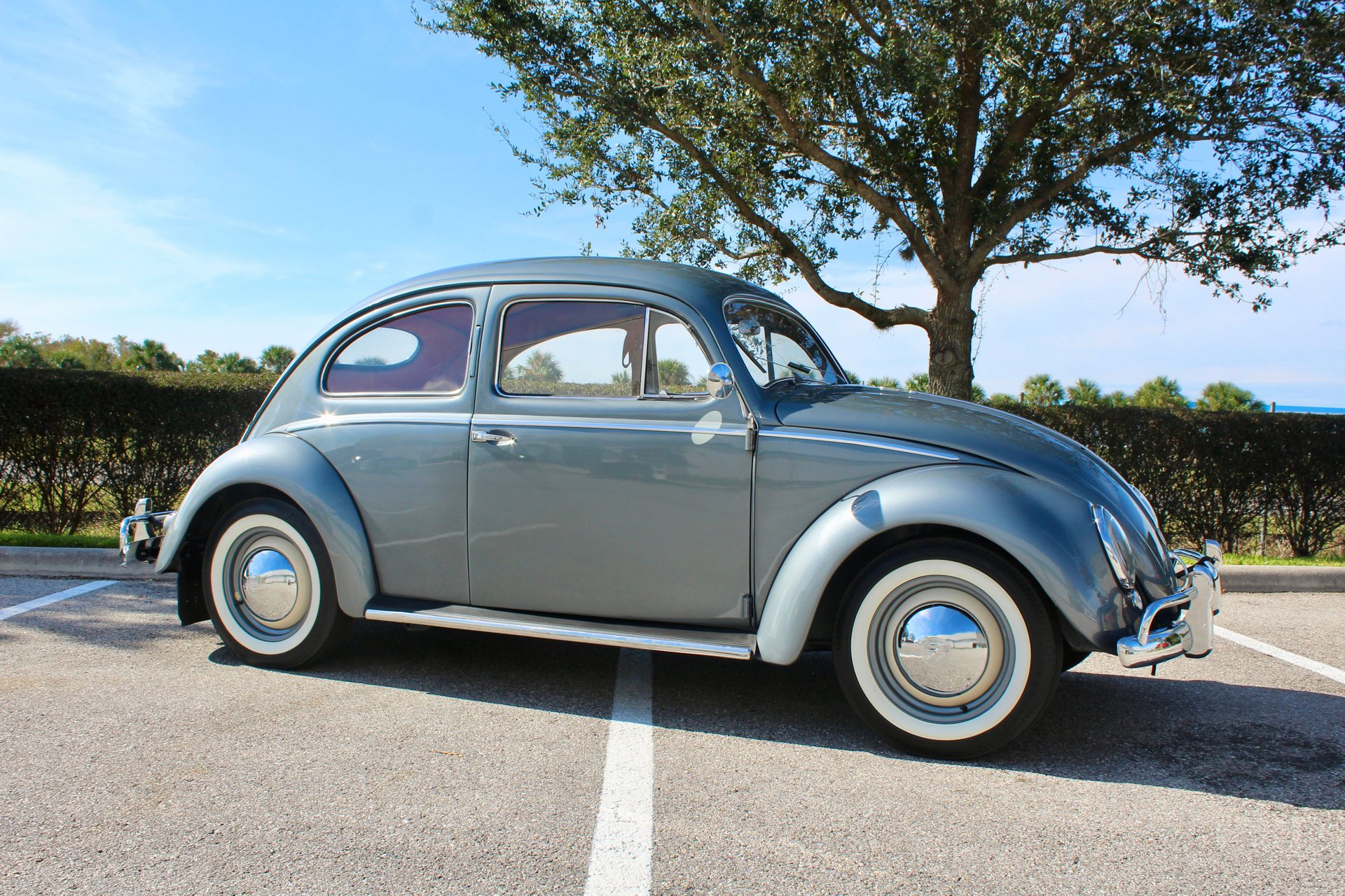 1954 volkswagen beetle 2dr oval window sedan