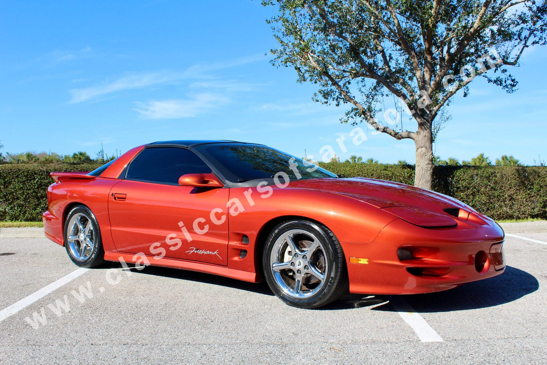 2002 Pontiac Firebird | Classic Cars of Sarasota