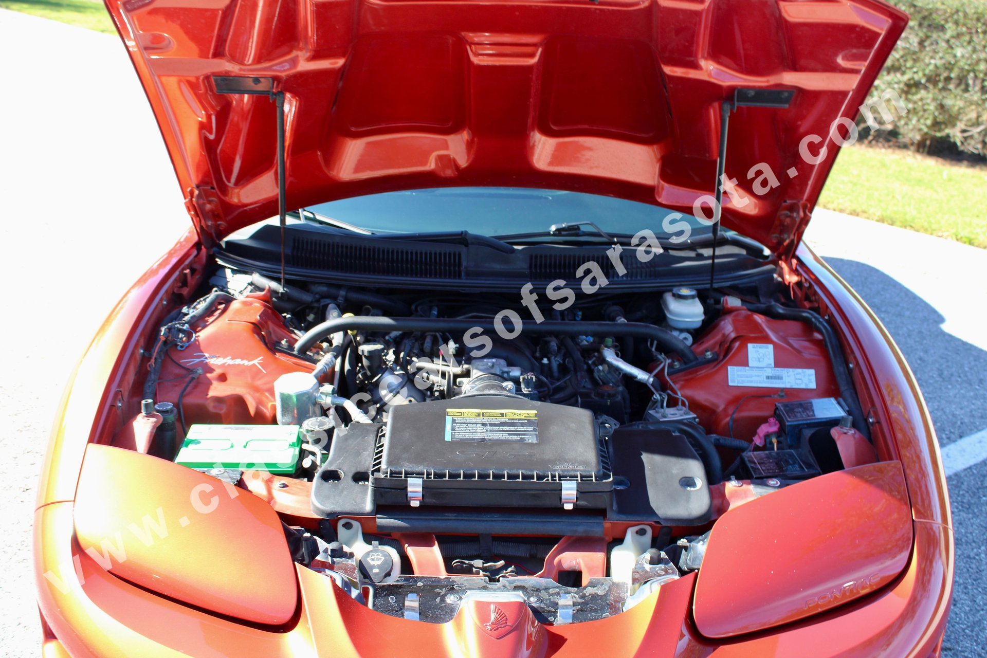 2002 Pontiac Firebird | Classic Cars of Sarasota