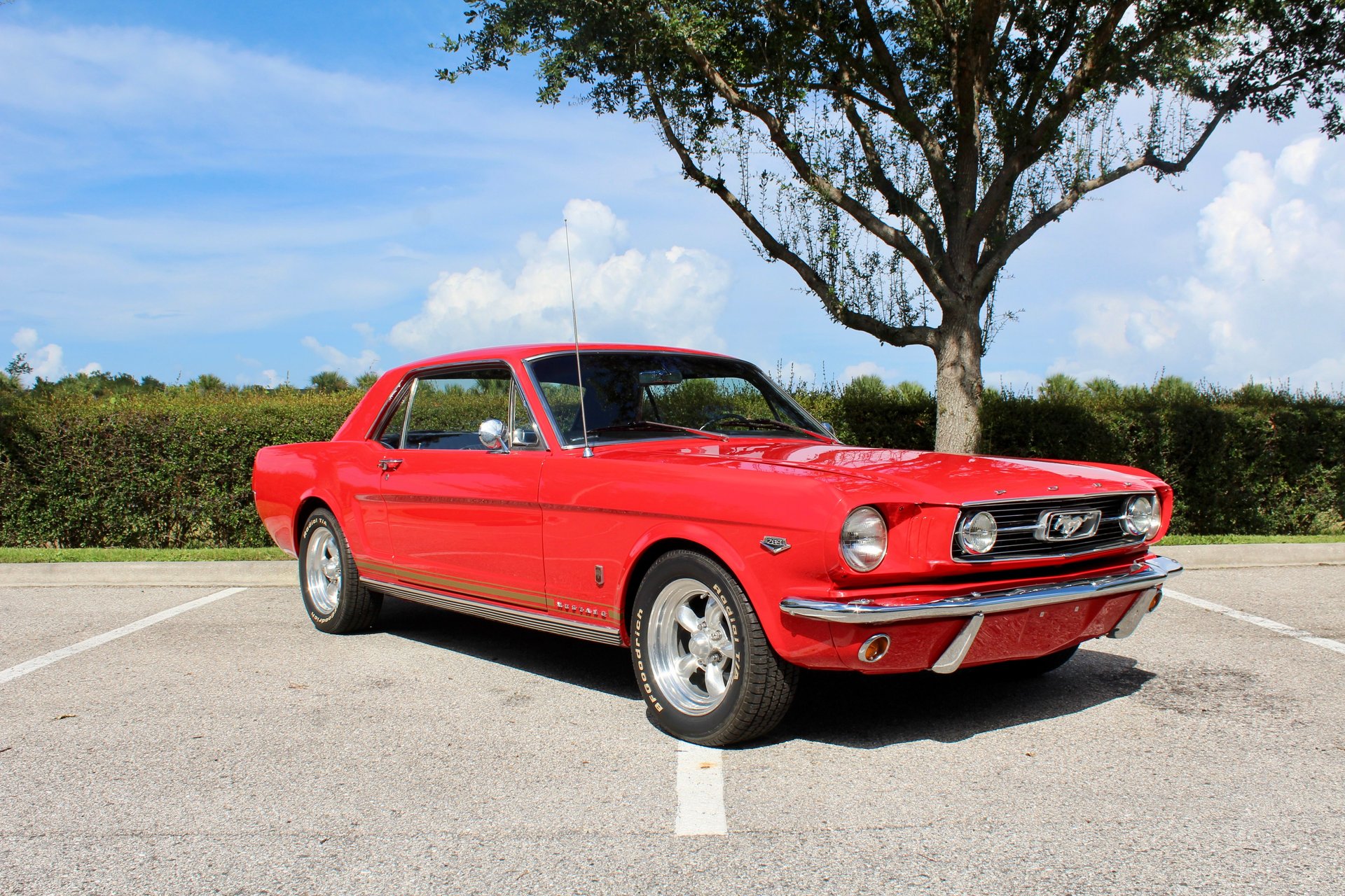 1966 ford mustang