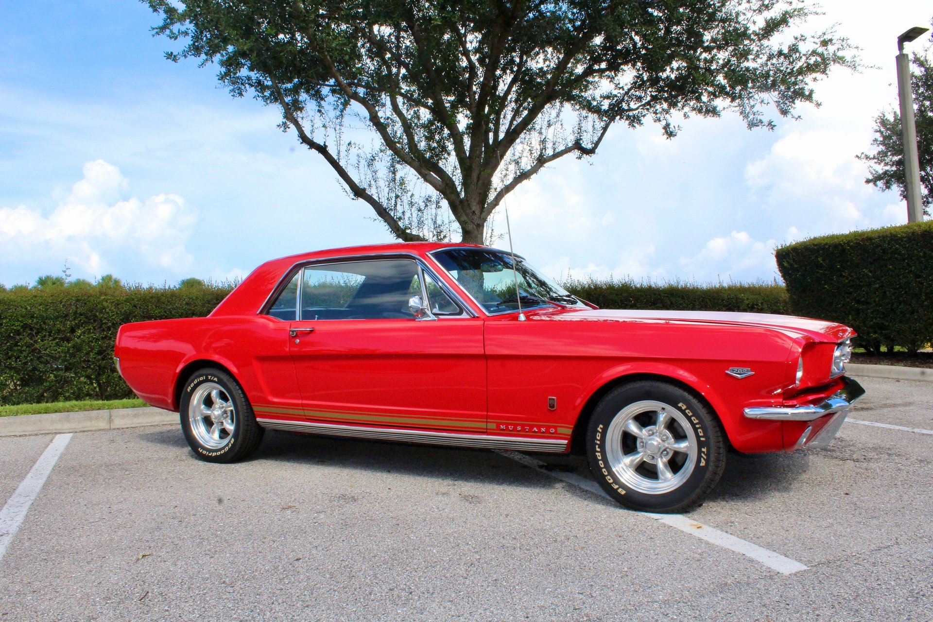 For Sale 1966 Ford Mustang