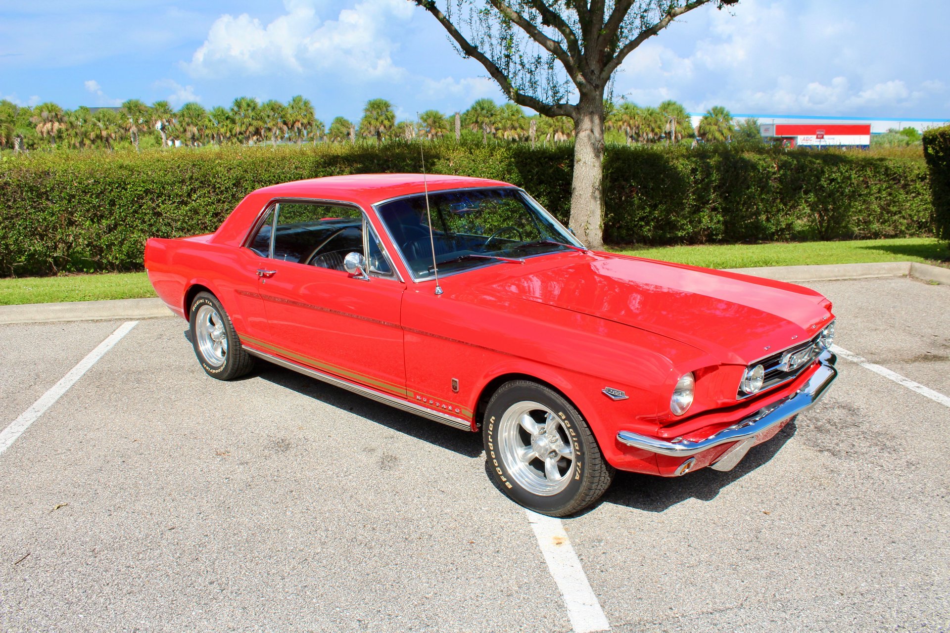 For Sale 1966 Ford Mustang