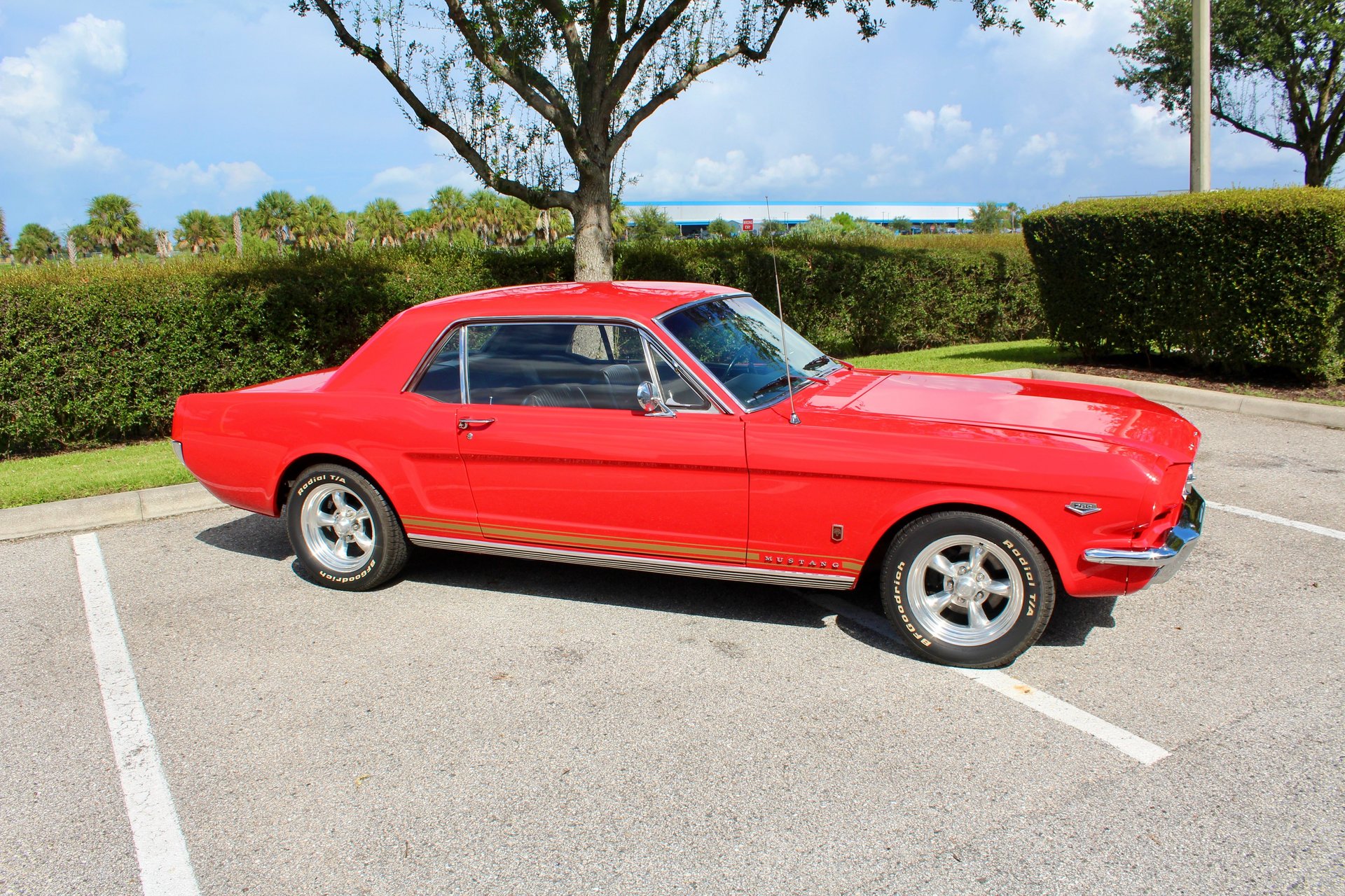 For Sale 1966 Ford Mustang