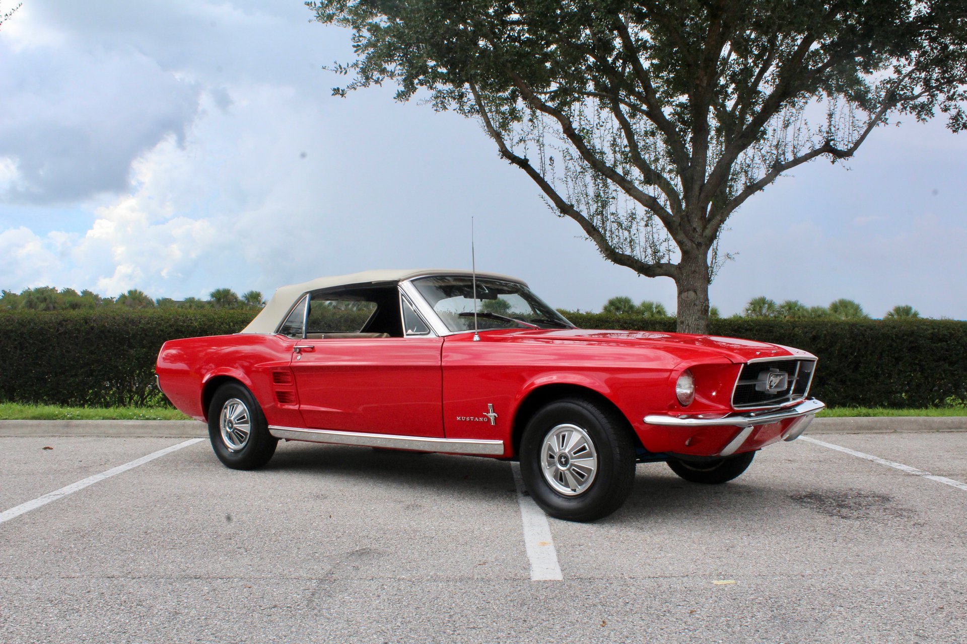 For Sale 1967 Ford Mustang