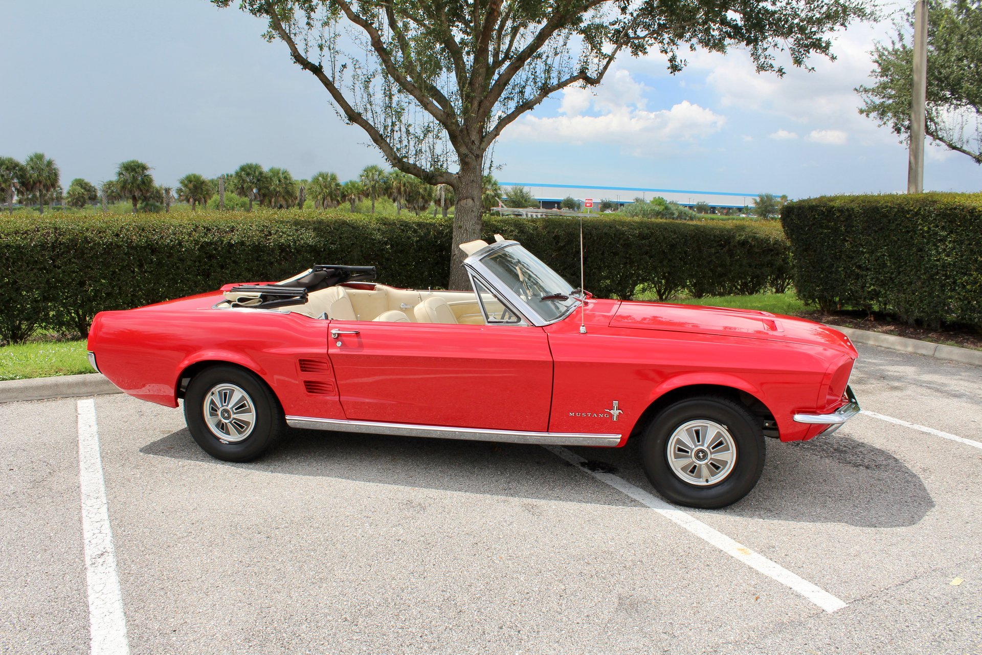 For Sale 1967 Ford Mustang