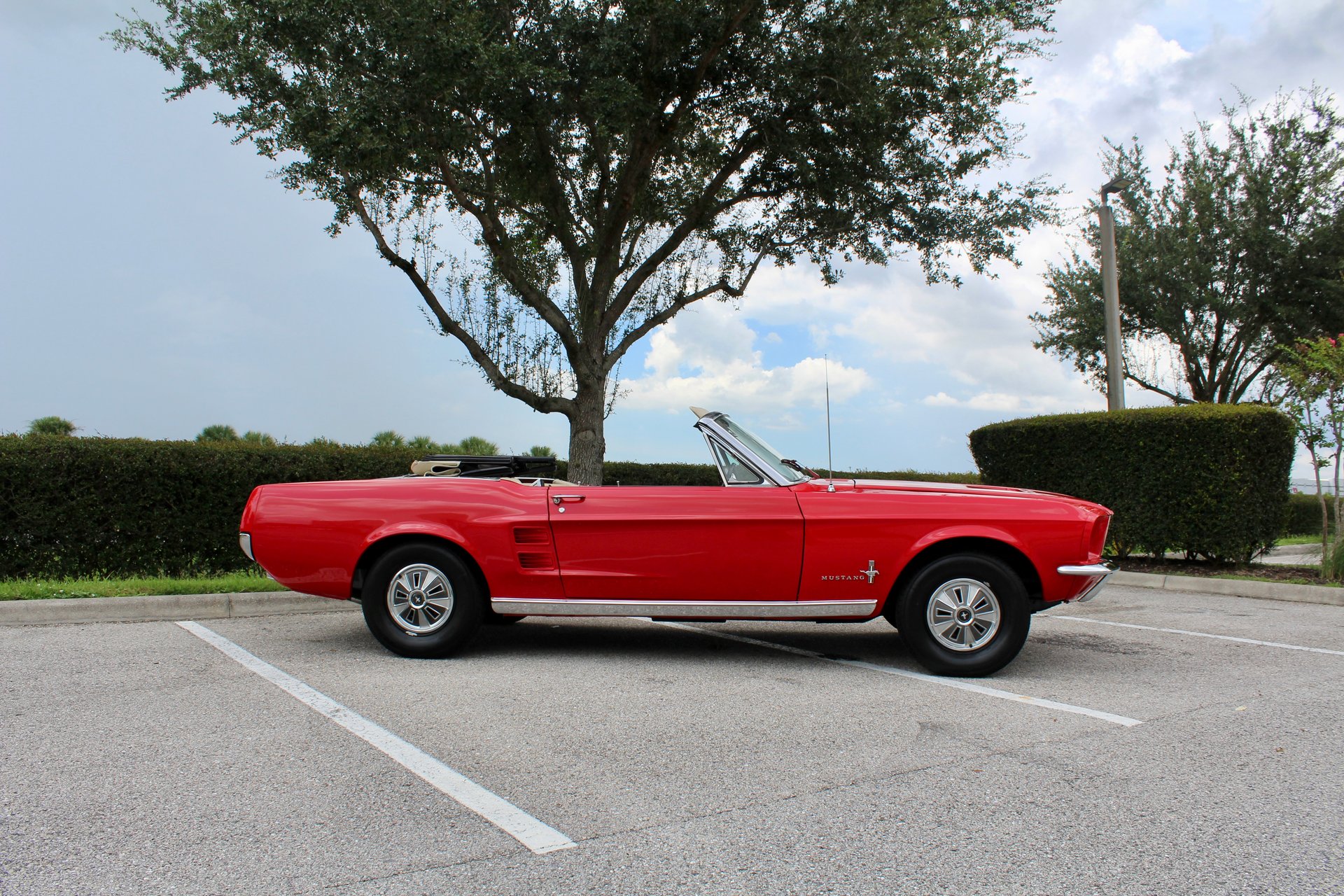 For Sale 1967 Ford Mustang