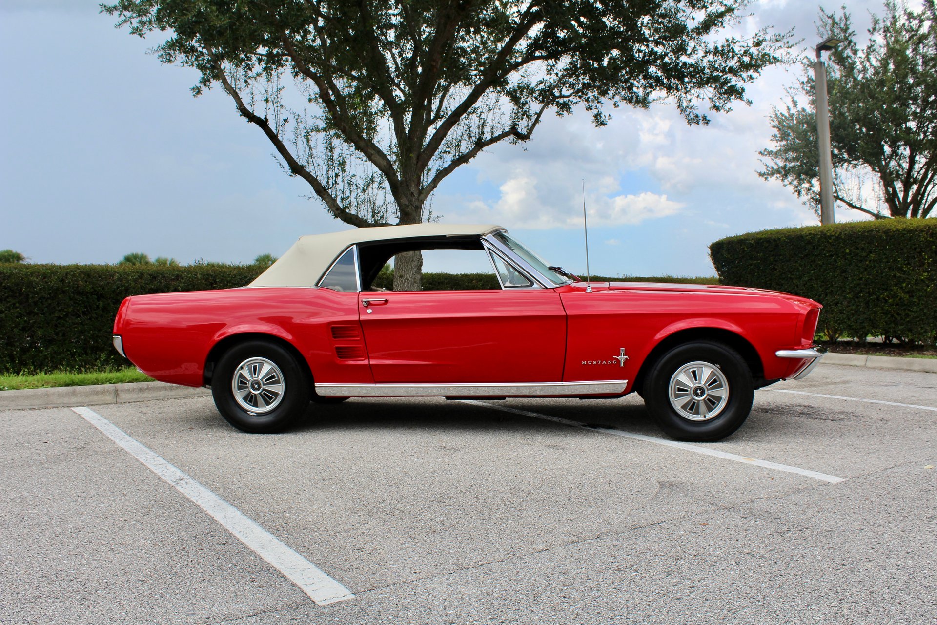 For Sale 1967 Ford Mustang