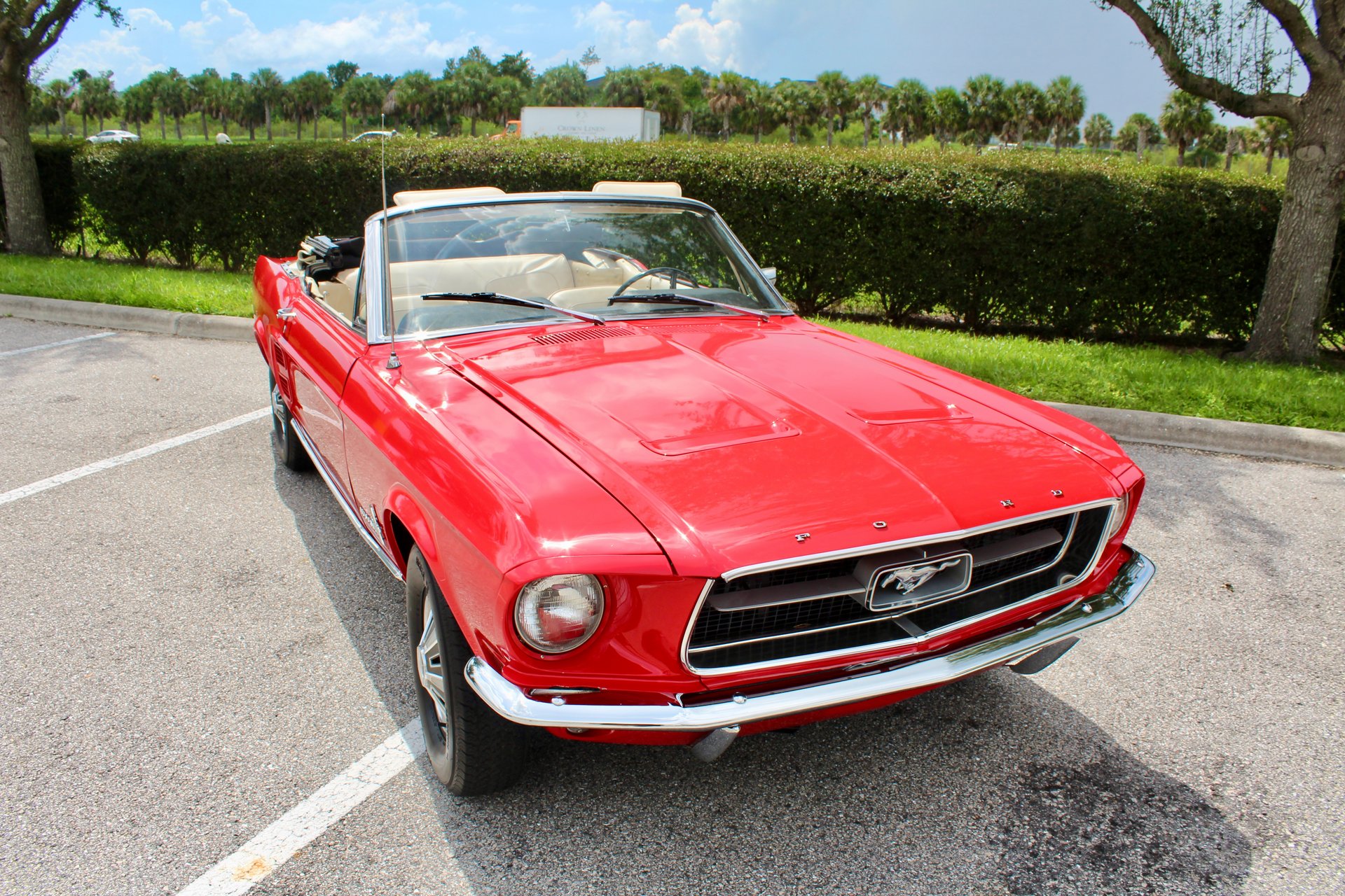 For Sale 1967 Ford Mustang