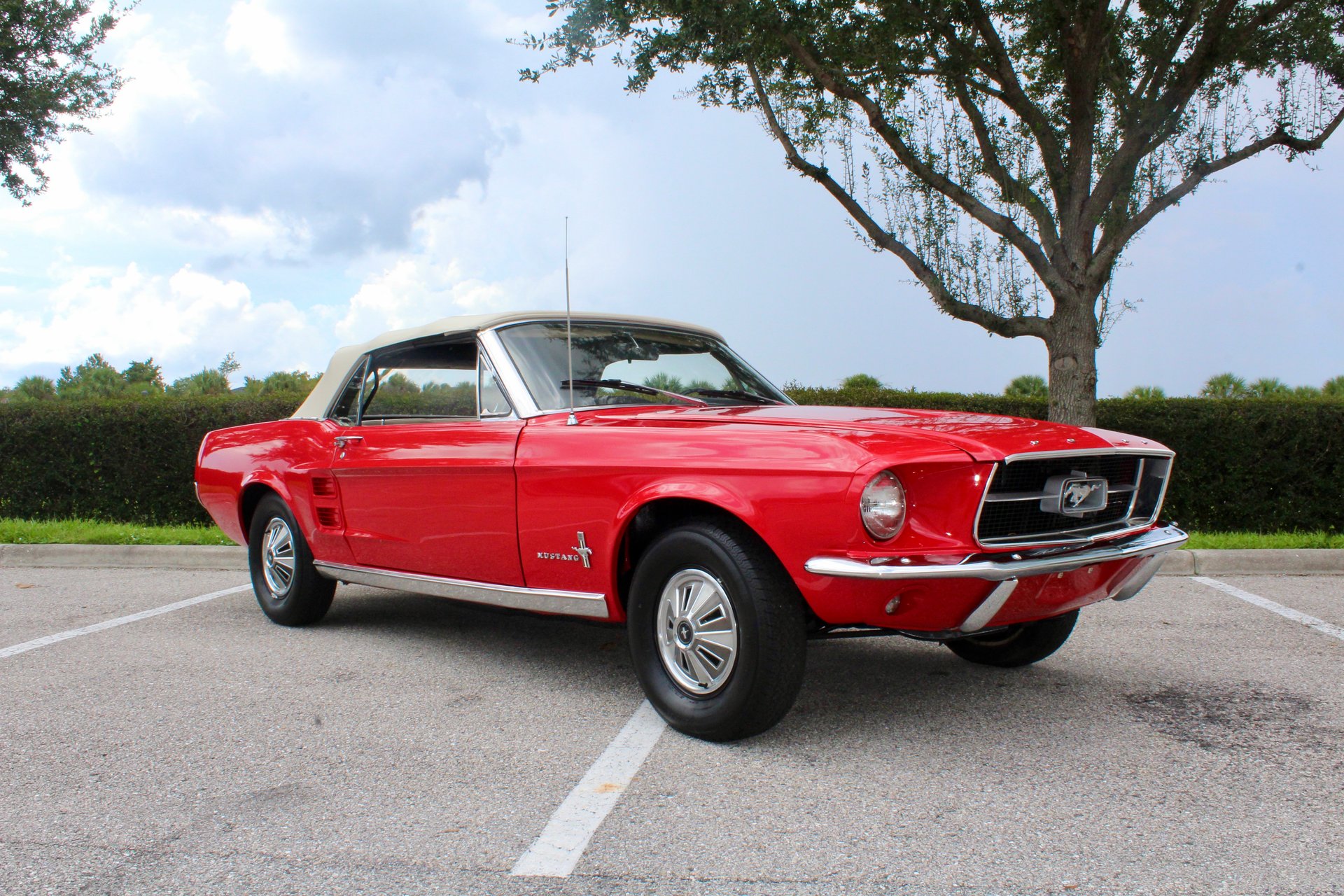 For Sale 1967 Ford Mustang