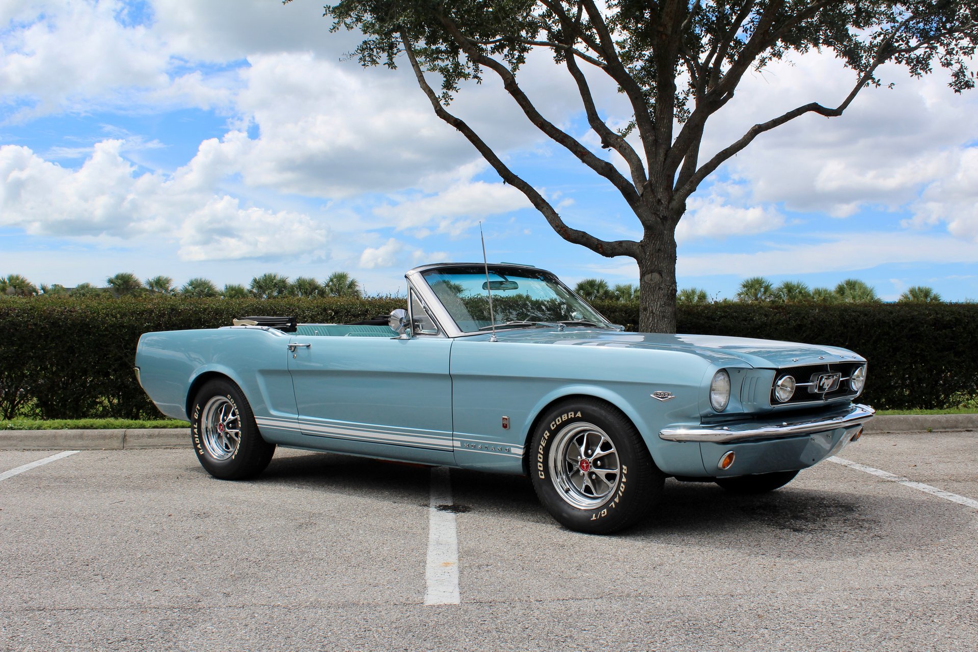 For Sale 1965 Ford Mustang GT