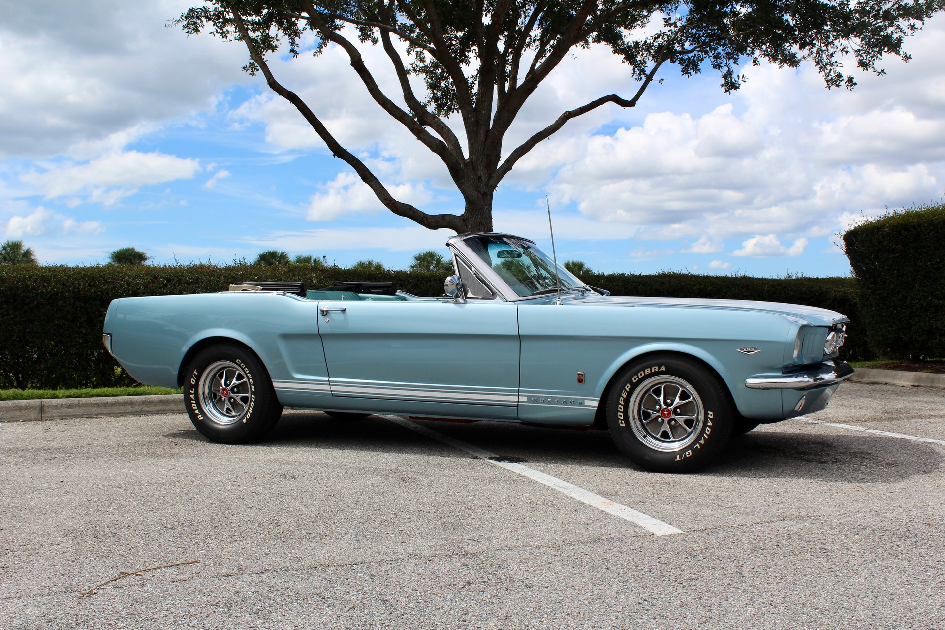 For Sale 1965 Ford Mustang GT