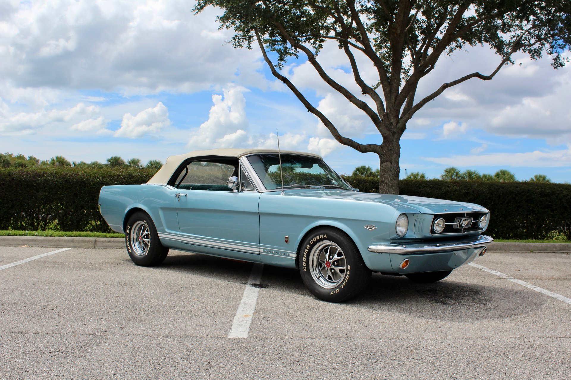 For Sale 1965 Ford Mustang GT