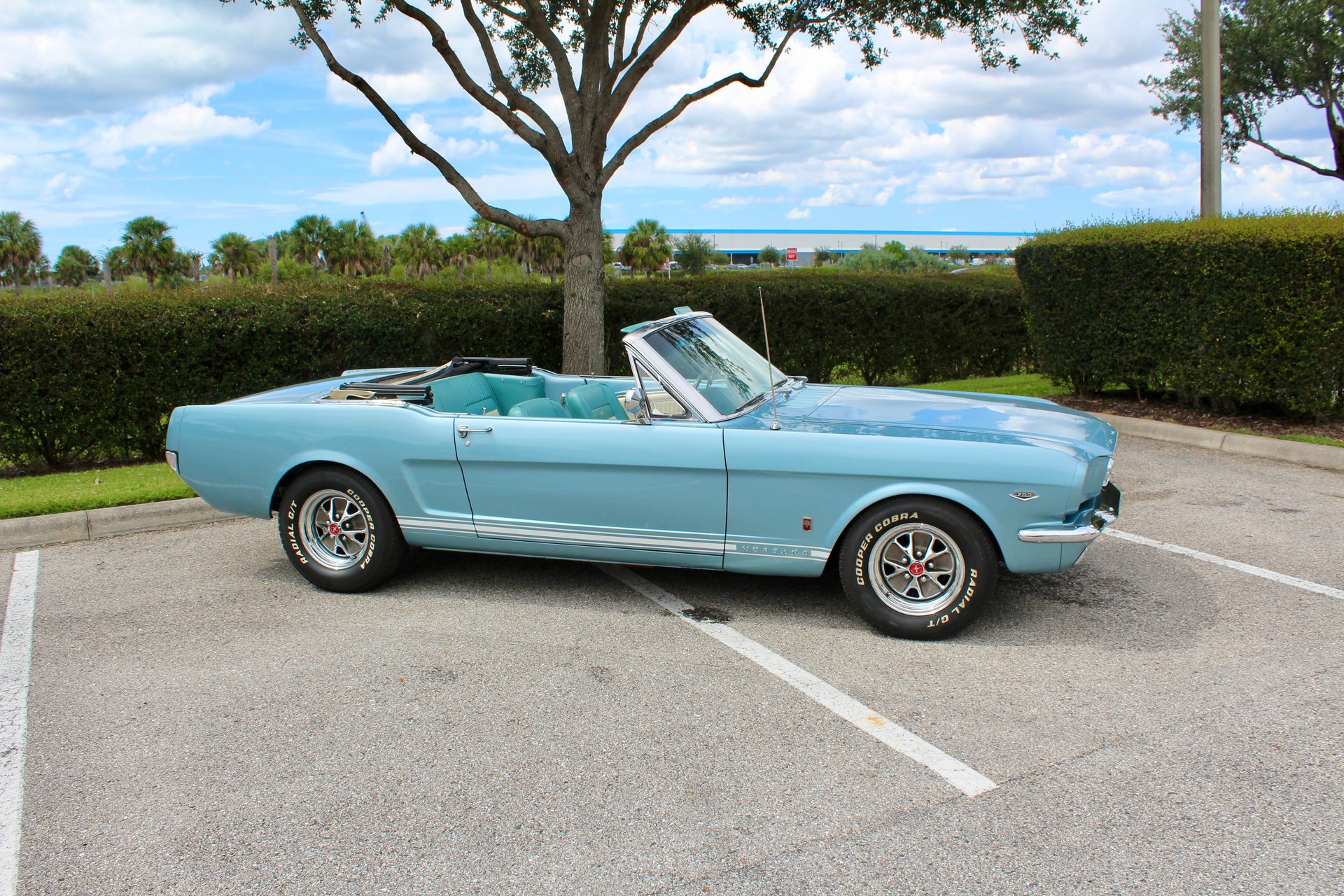 For Sale 1965 Ford Mustang GT