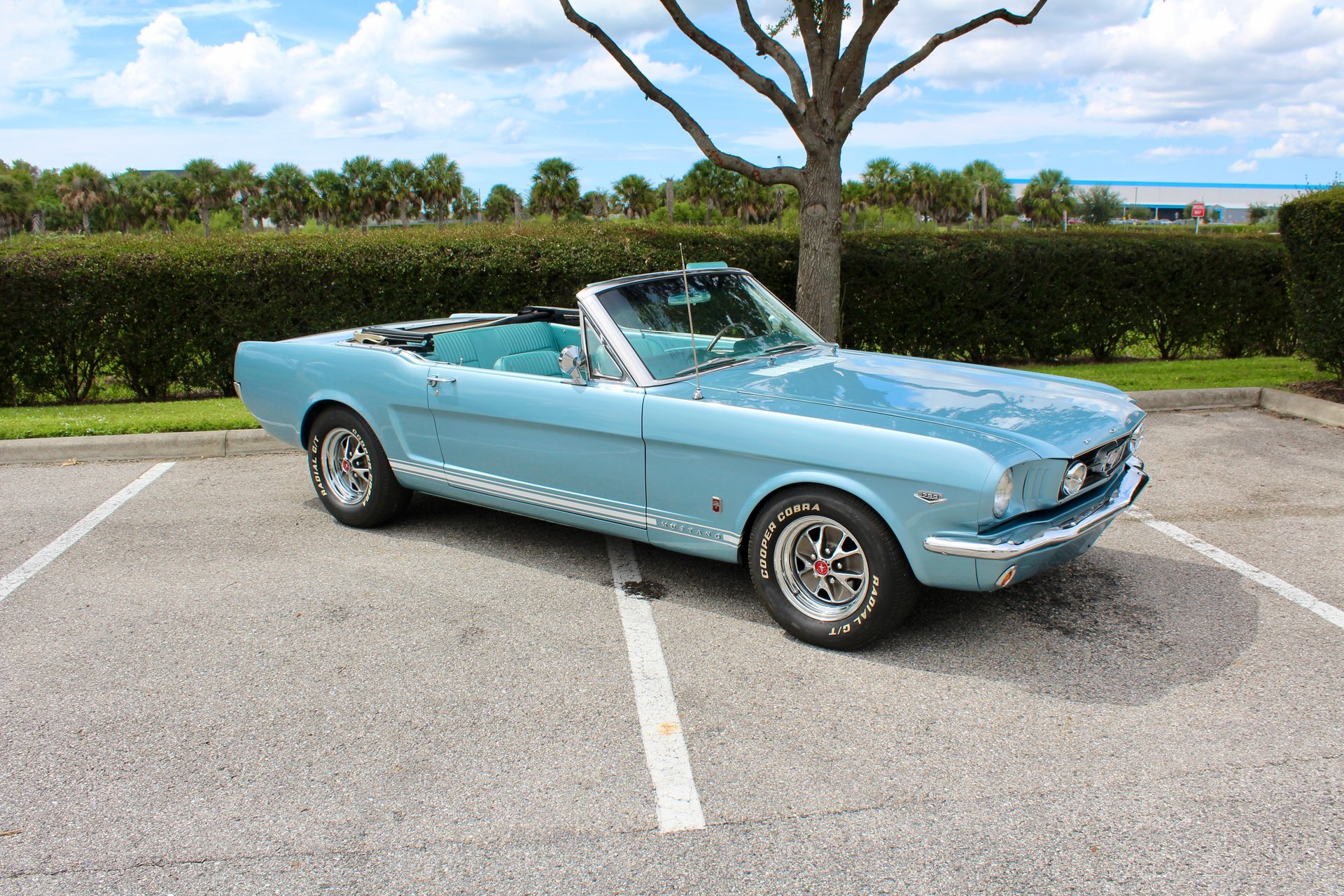 For Sale 1965 Ford Mustang GT