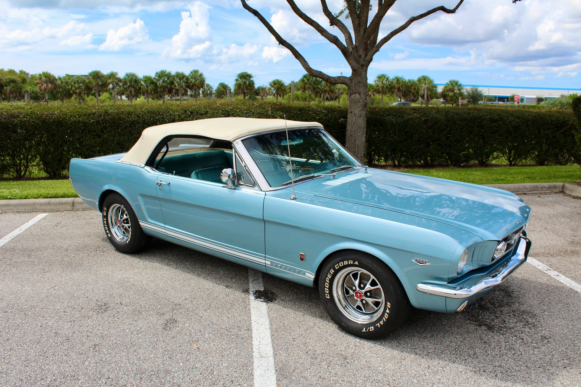 For Sale 1965 Ford Mustang GT