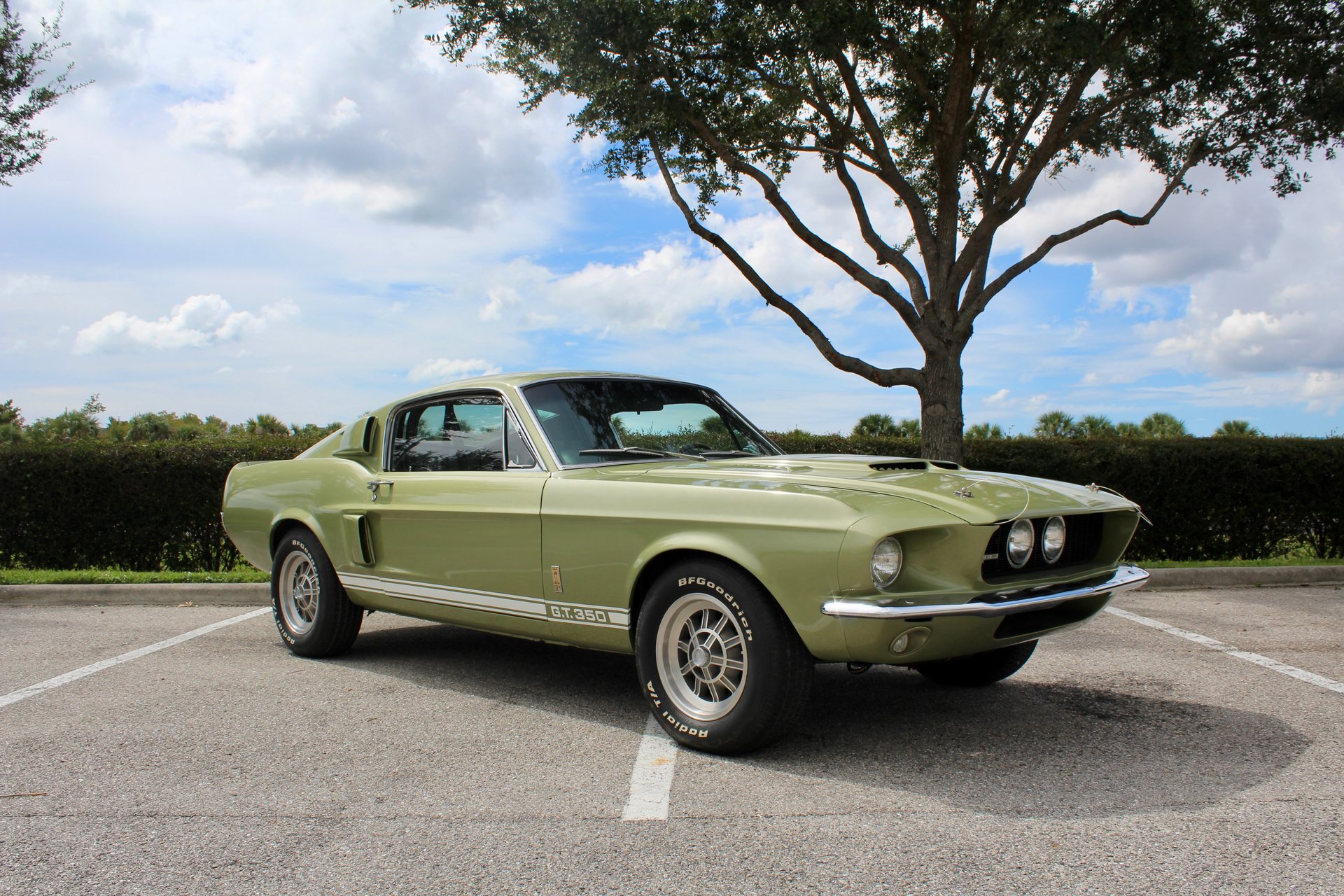 For Sale 1967 Ford Shelby GT350
