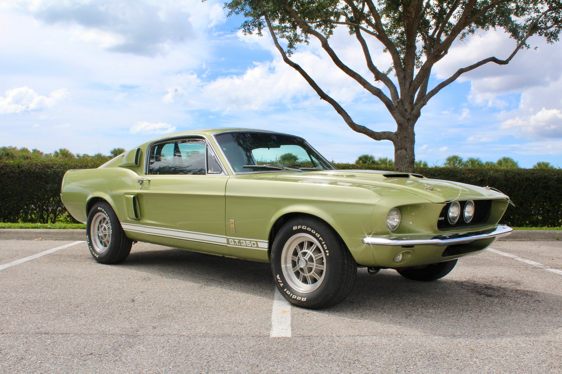 1967 ford shelby gt350
