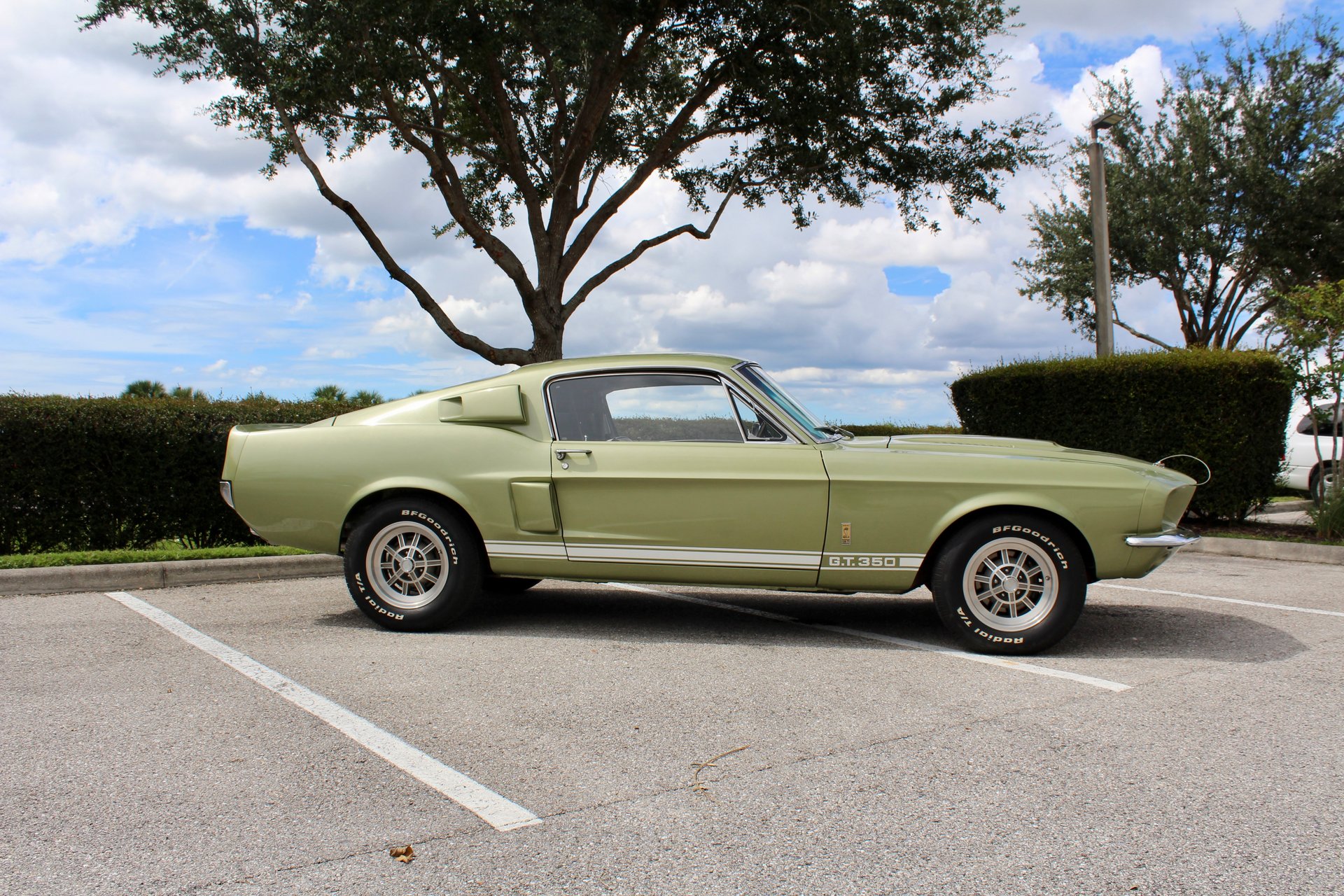 For Sale 1967 Ford Shelby GT350