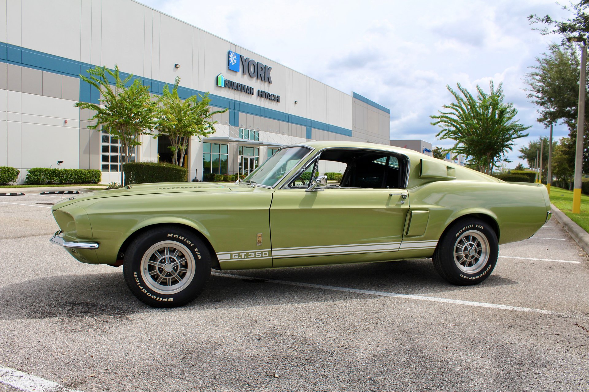 For Sale 1967 Ford Shelby GT350